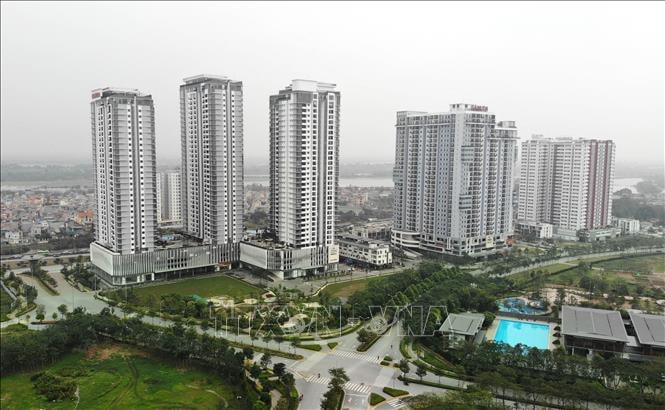 Thực trạng sử dụng Chứng chỉ hành nghề giả trong lĩnh vực Bất động sản