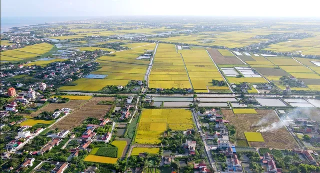 Luật Đất đai 2024 Những thay đổi quan trọng và tác động đến phát triển kinh tế - xã hội